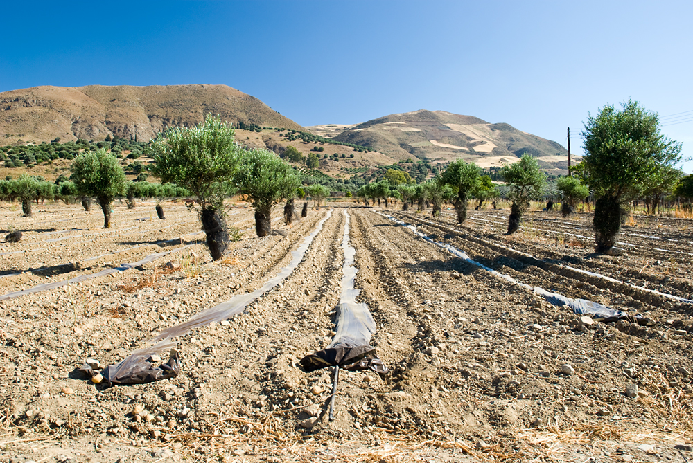 370_Kreta Wschodnia.jpg